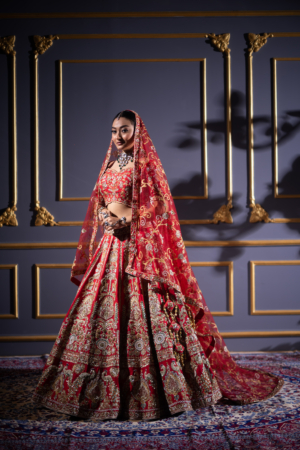 Royal Scarlet Red Lehenga