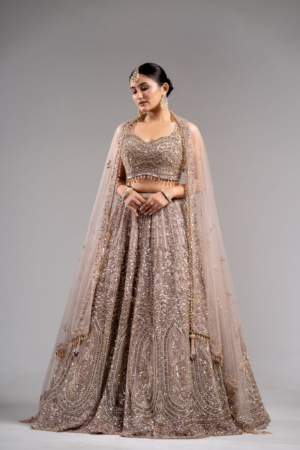 Luxe Champagne Gold Embroidered Lehenga