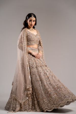 Royal Champagne Gold Embellished Lehenga