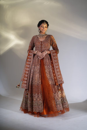 Rust Gold Embroidered Dress