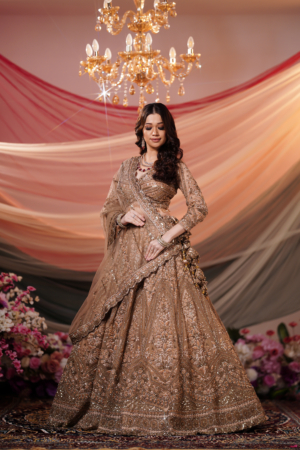 Golden Grace Bronze Embellished Lehenga