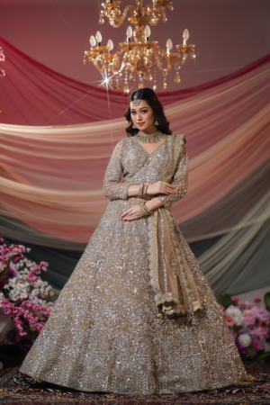 Champagne Crystal Bridal Lehenga Set