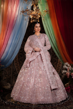 Blush Radiance Mirror Work Lehenga