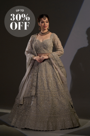 Moonlight Majesty Silver Embellished Lehenga