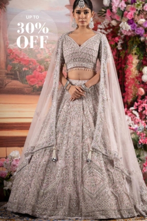 Silver Blush Embellished Lehenga