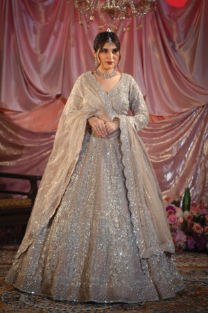 Silver Moonlight Embellished Lehenga Set
